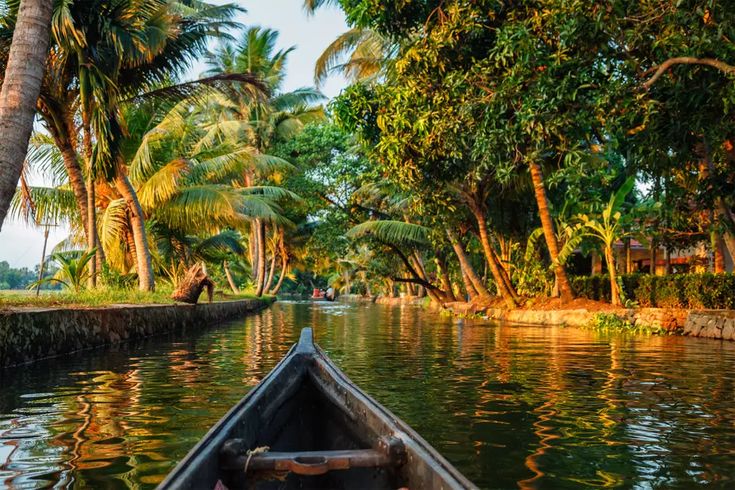 Splendour Of Kerala