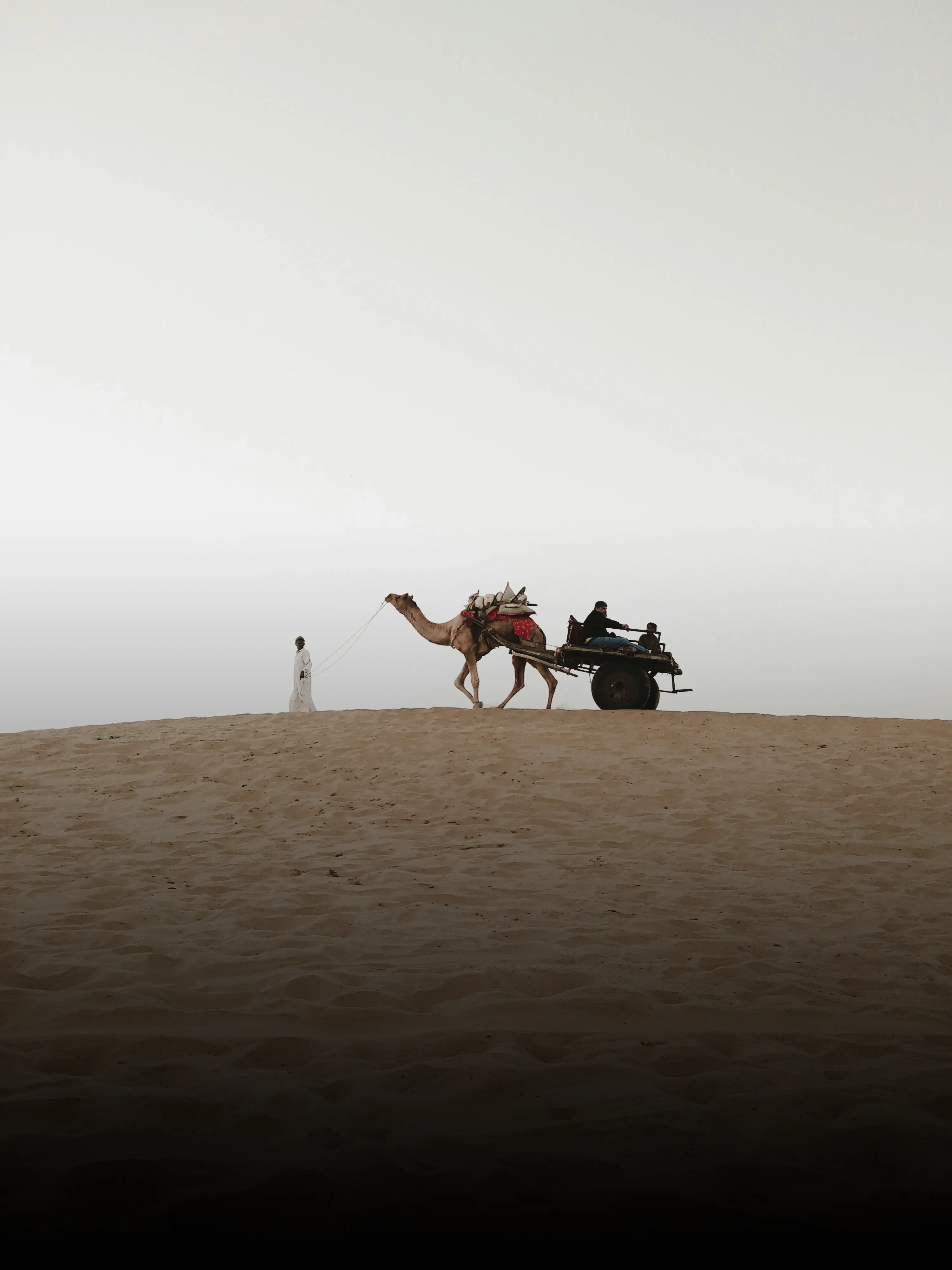 Rajasthan Odyssey