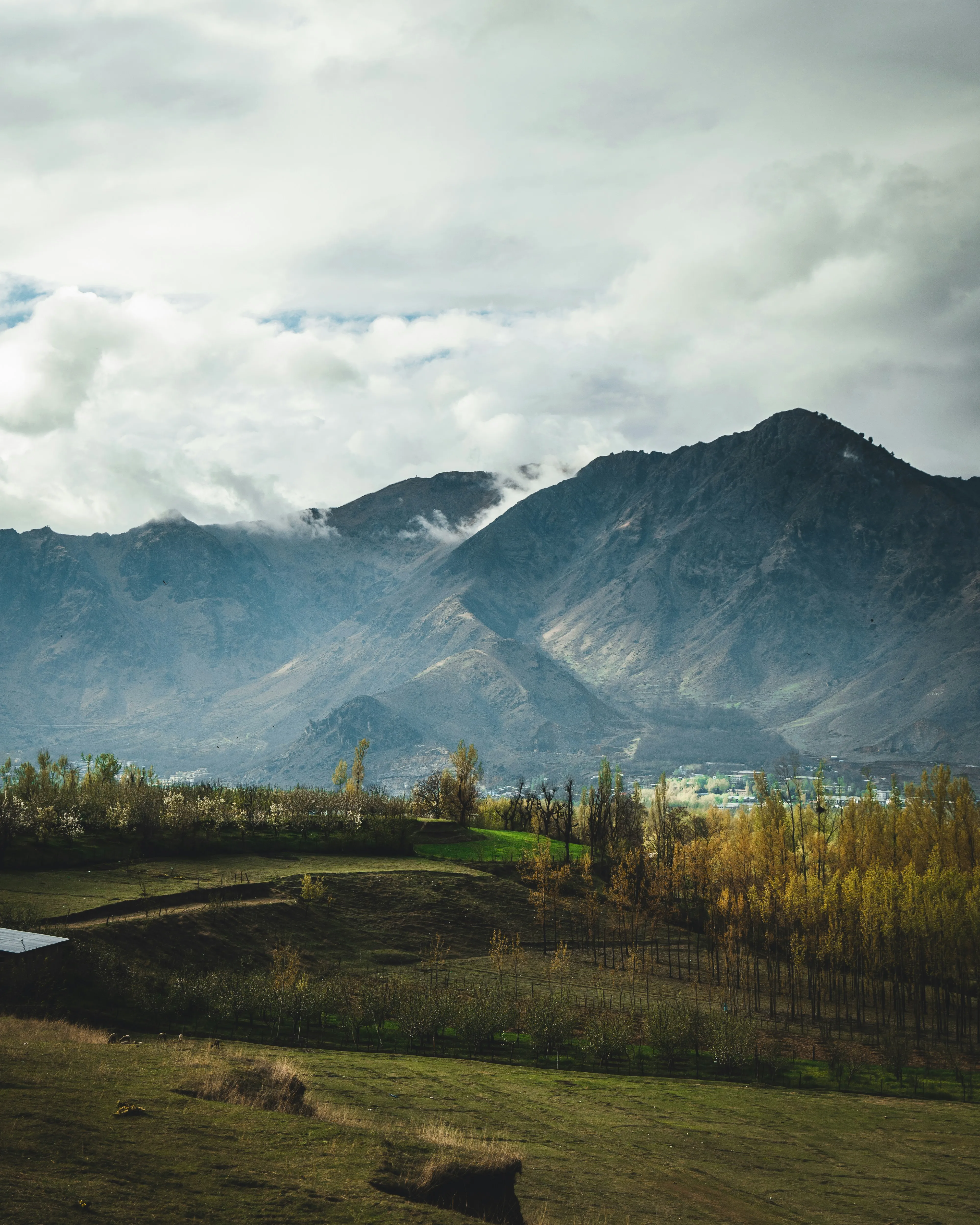 Amazing Kashmir